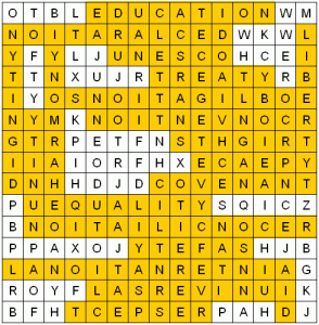 Junior find-a-word solved - Human rights